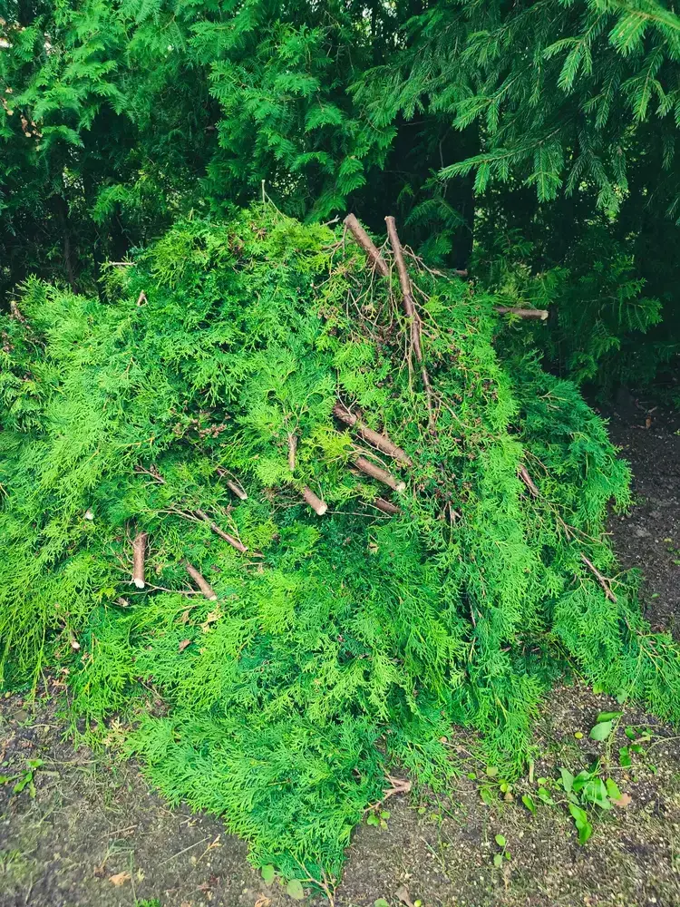 Green Waste Organic Recycling